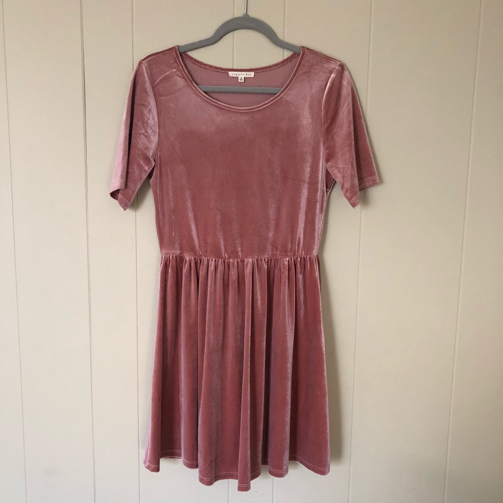 Copper Key Pink Velvet Dress
